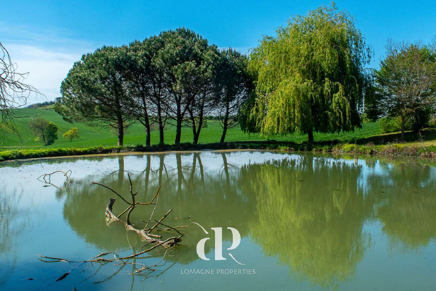  en venta villa Lectoure Gers 8