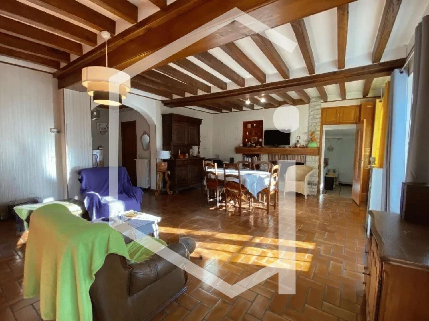 for sale villa Léré Cher 8
