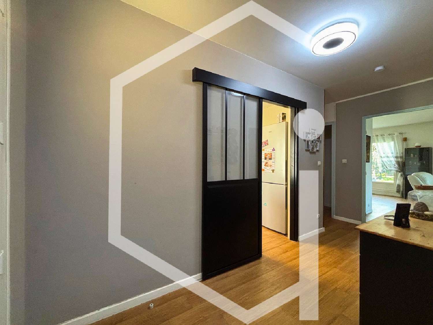  à vendre villa Léré Cher 3