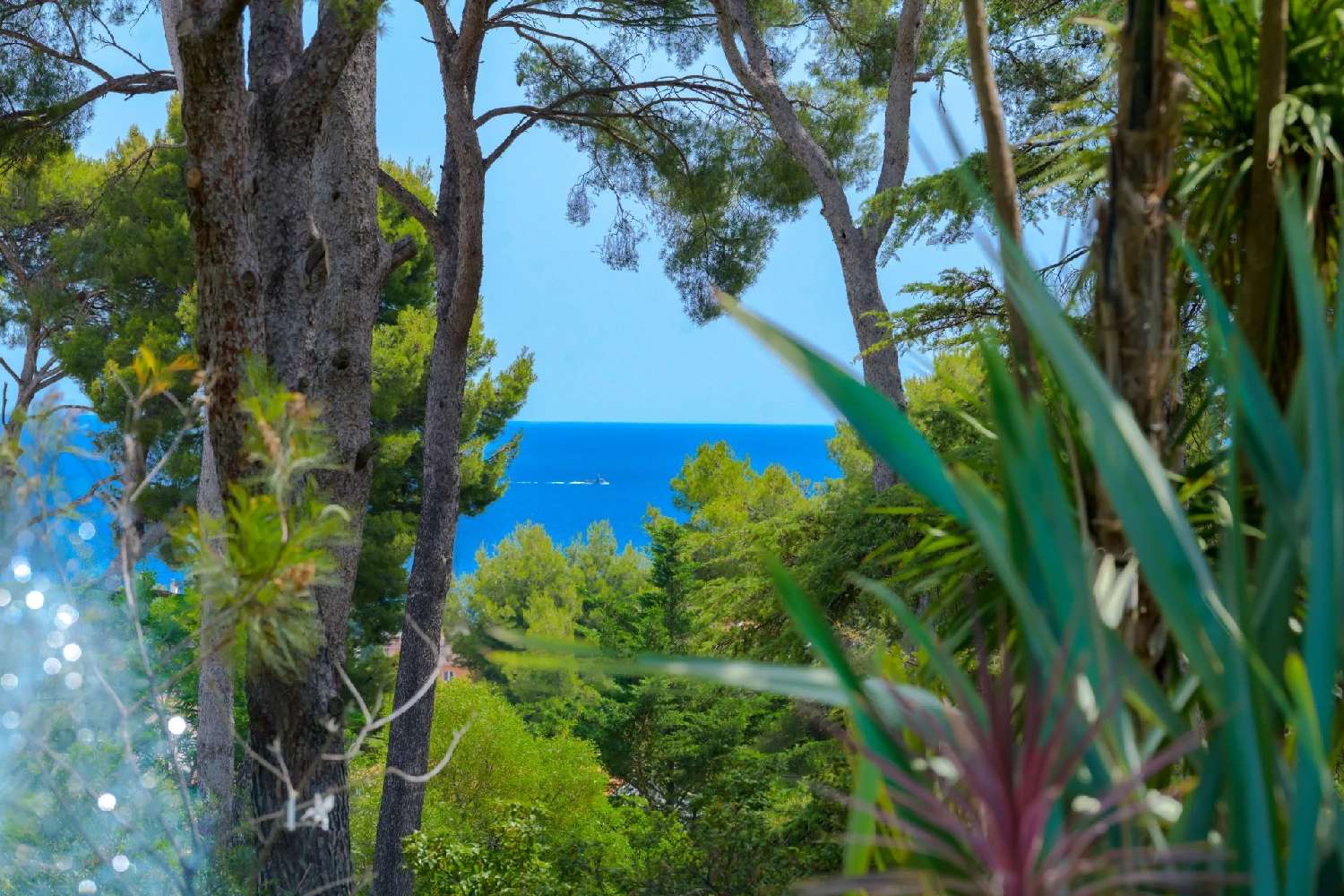 en venta villa Les Lecques Var 2