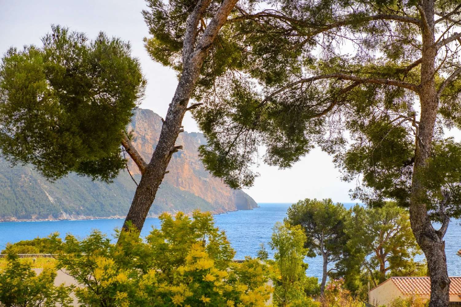  for sale villa Les Loges-Saulces Calvados 1