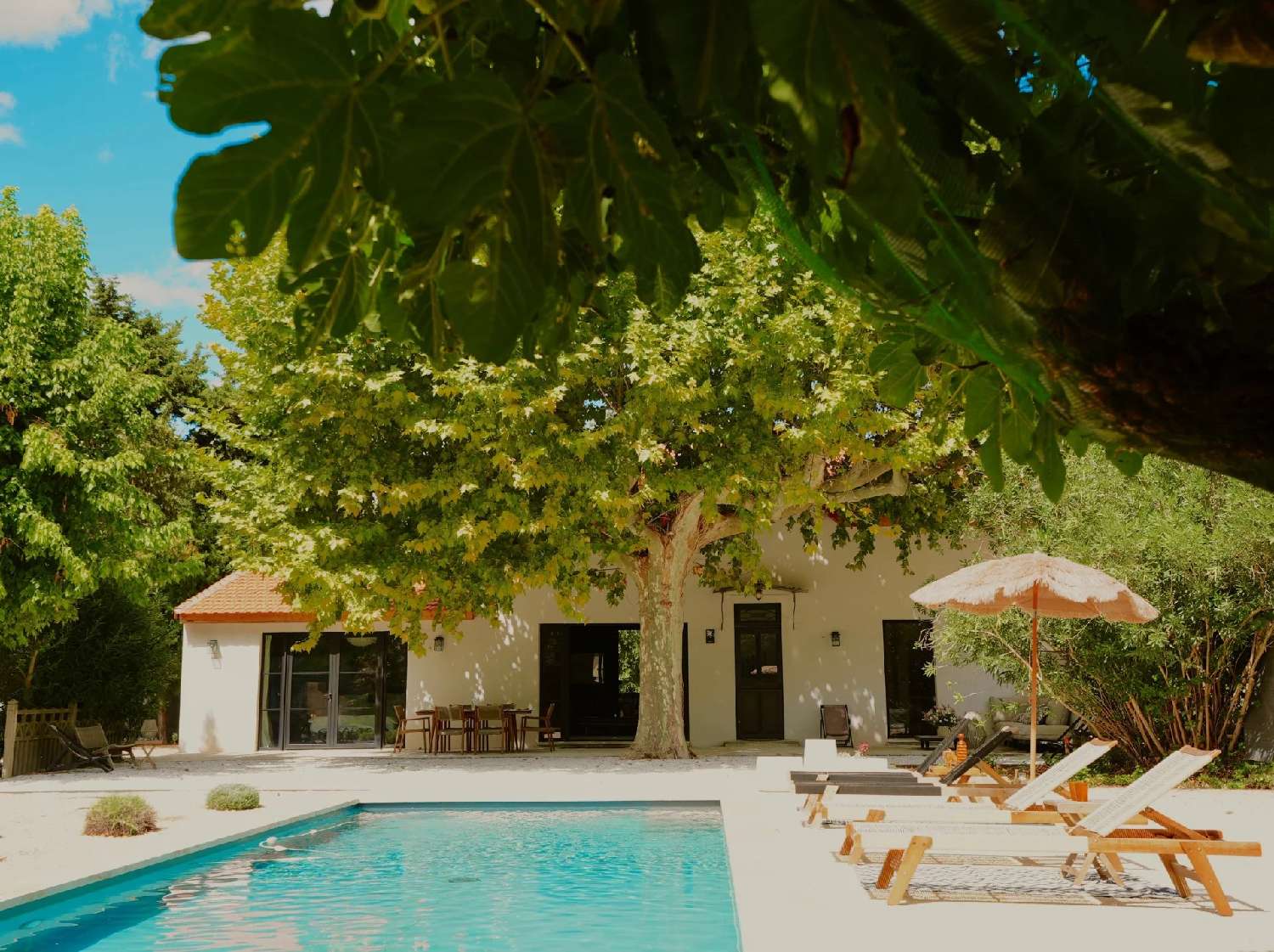 te koop villa Maillane Bouches-du-Rhône 5