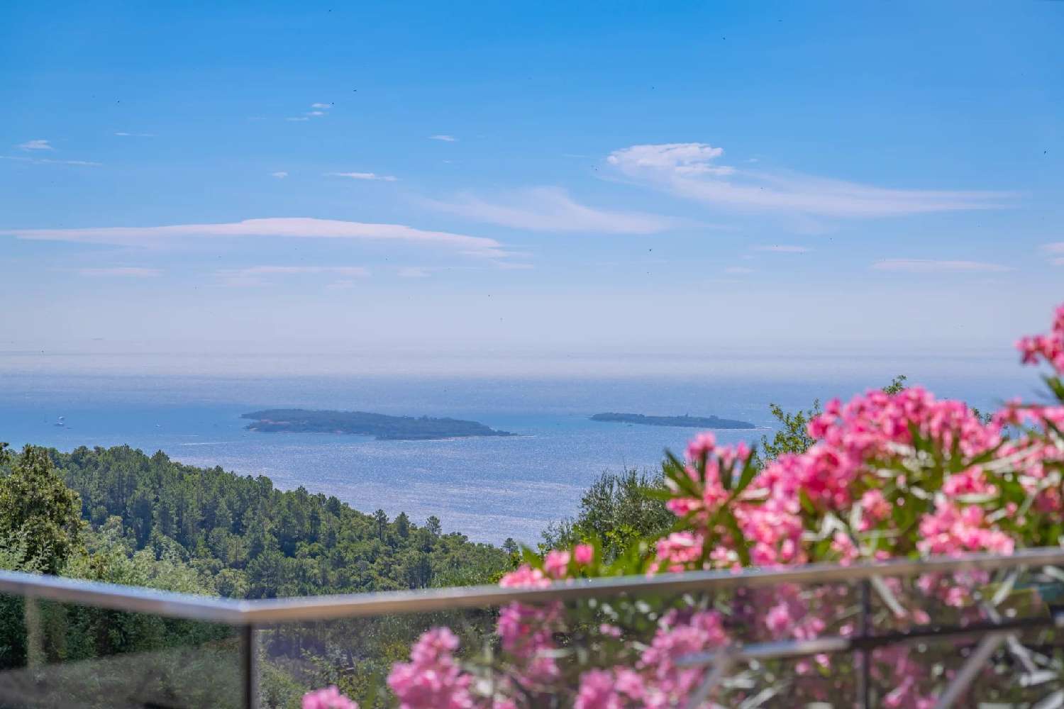  en venta villa Mandelieu-la-Napoule Alpes-Maritimes 3