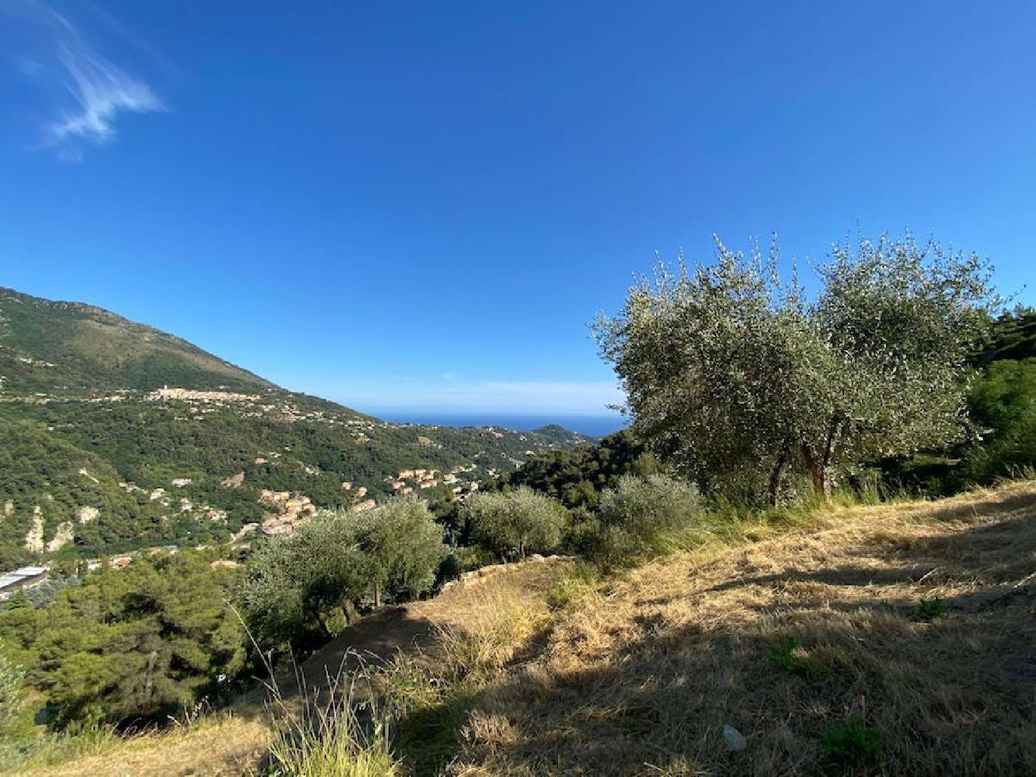  à vendre villa Menton Alpes-Maritimes 2