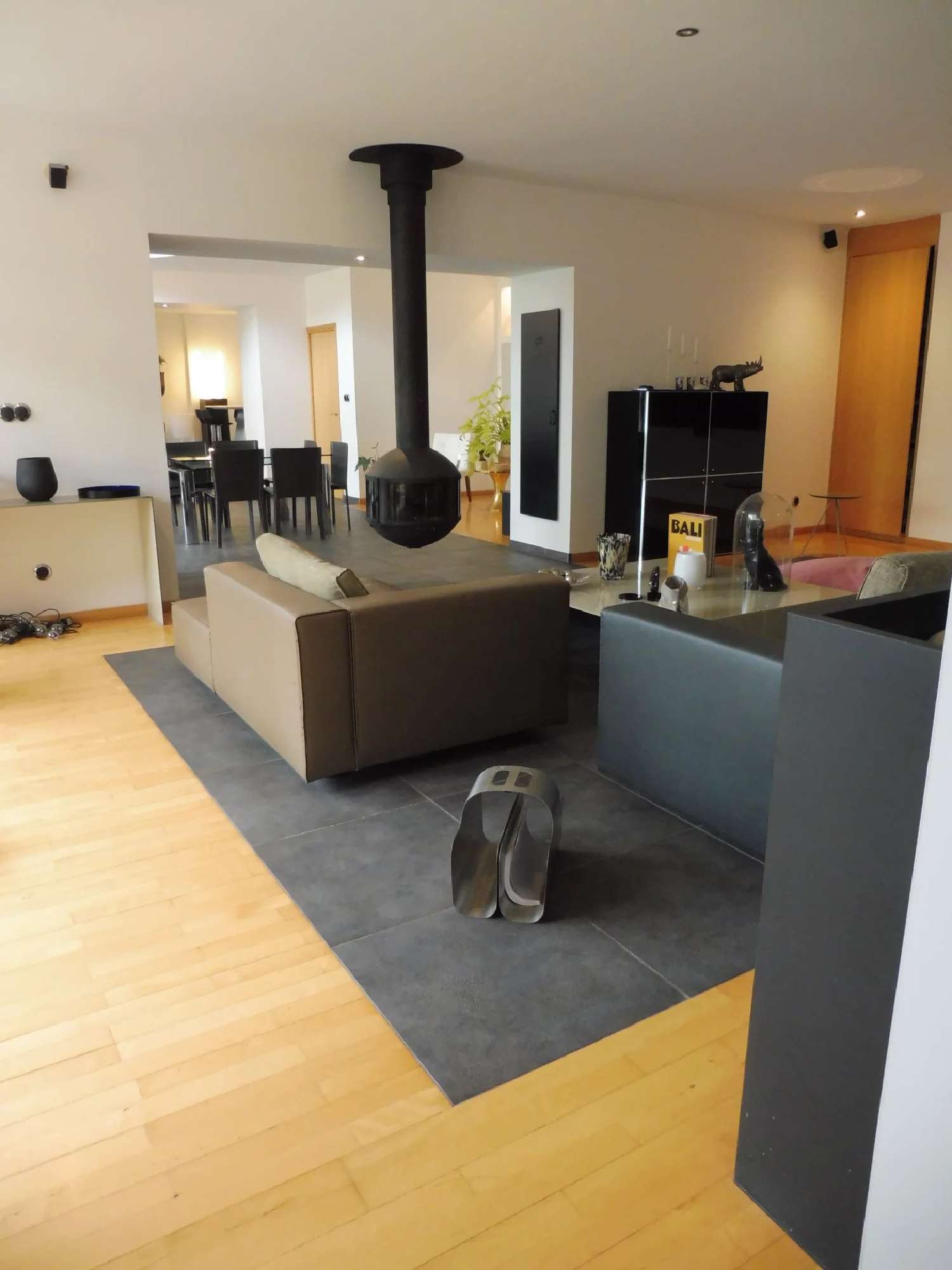 à vendre villa Meximieux Ain 2