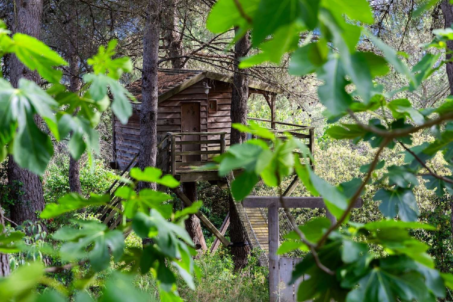  à vendre villa Meyreuil Bouches-du-Rhône 3