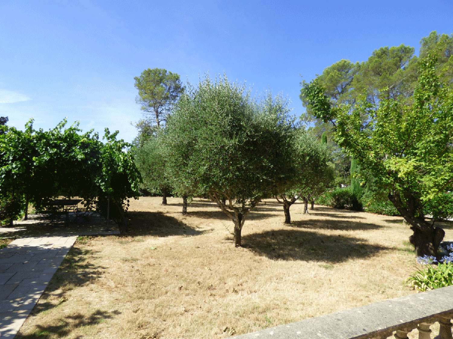 en venta villa Mons Var 5