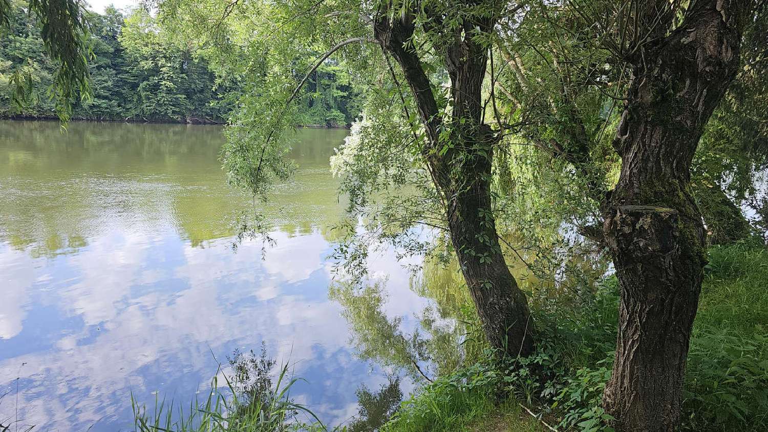  à vendre villa Monsempron-Libos Lot-et-Garonne 3