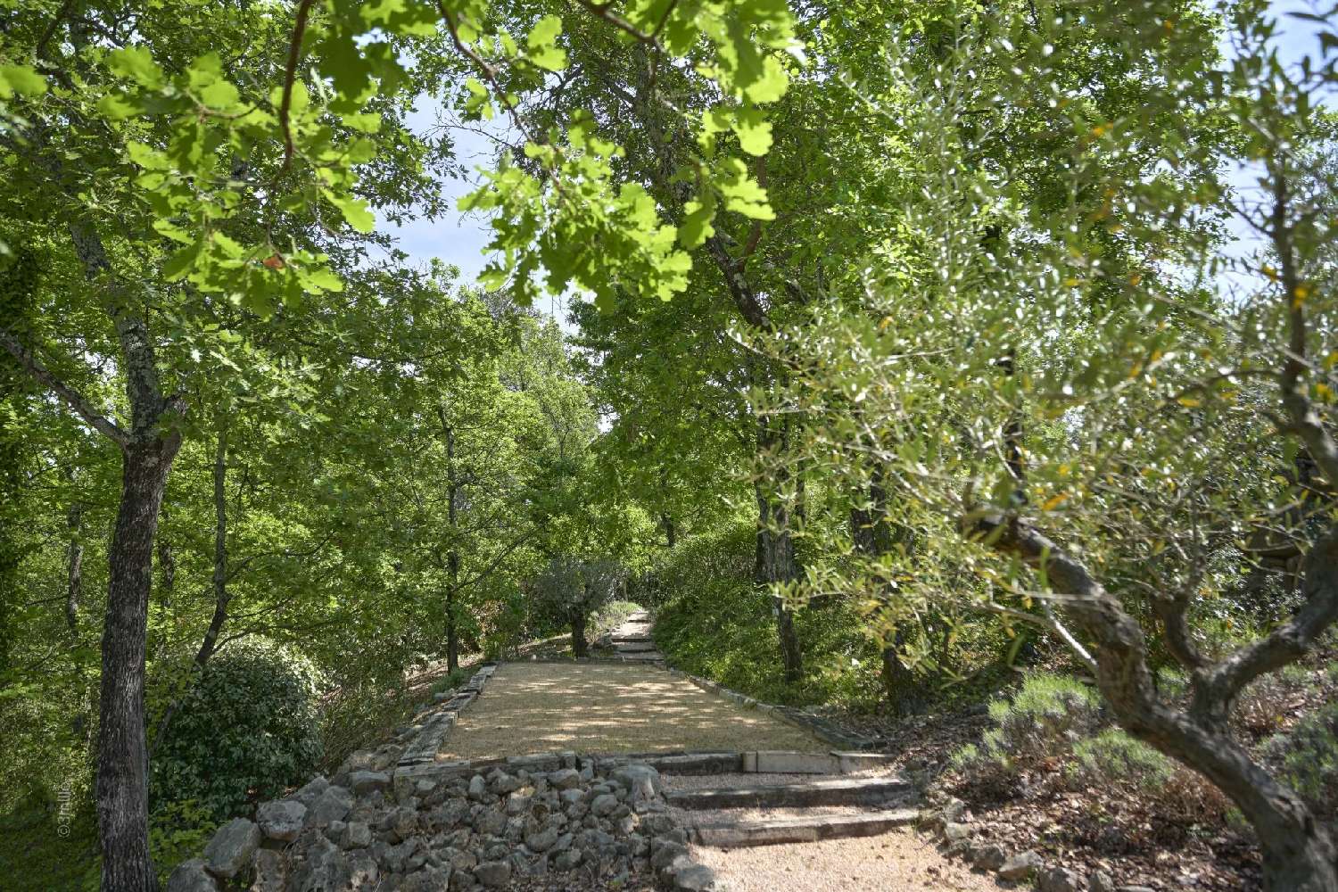 à vendre villa Montauroux Var 7