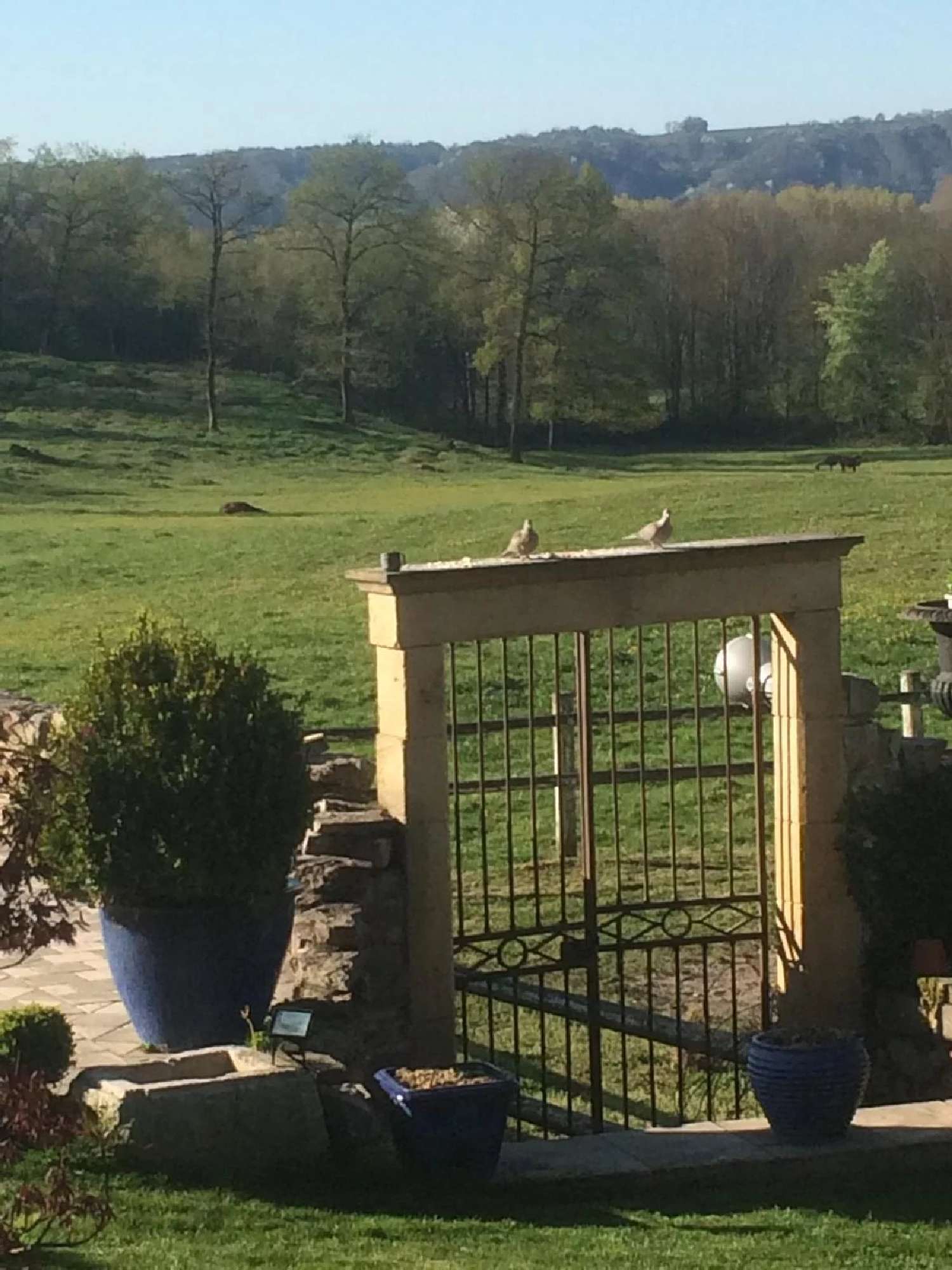 à vendre villa Morestel Isère 4