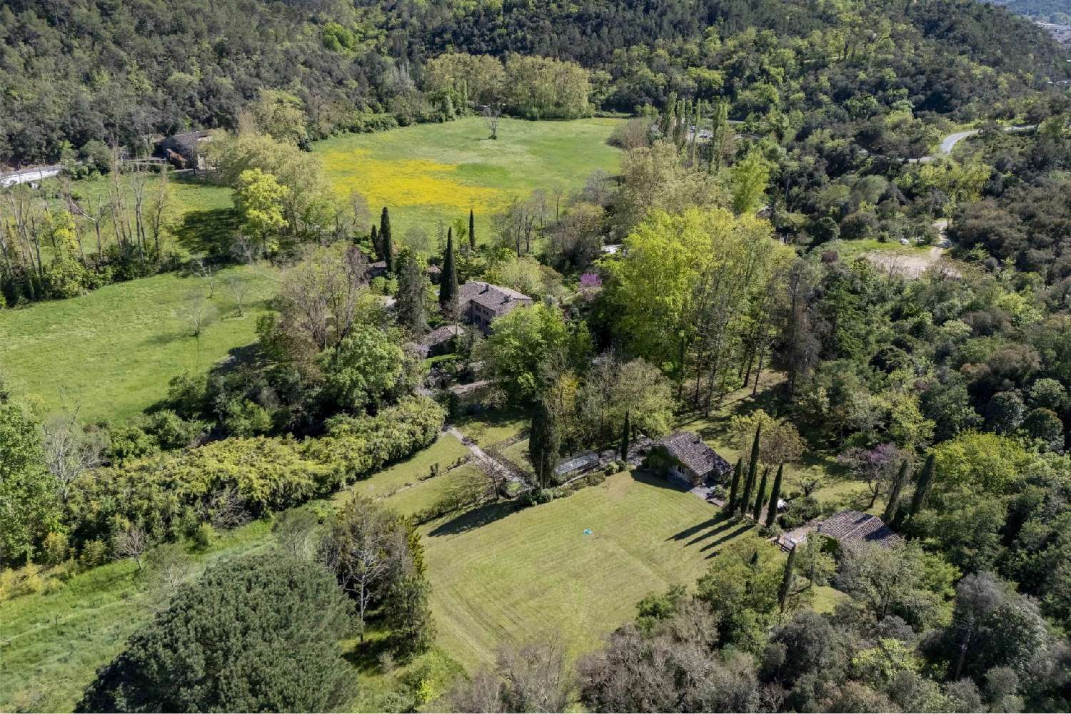 kaufen Villa Mouans-Sartoux Alpes-Maritimes 5