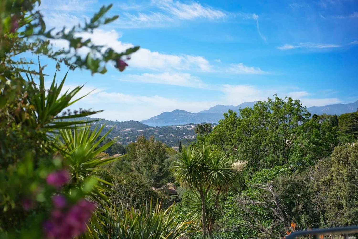 te koop villa Mougins Alpes-Maritimes 2