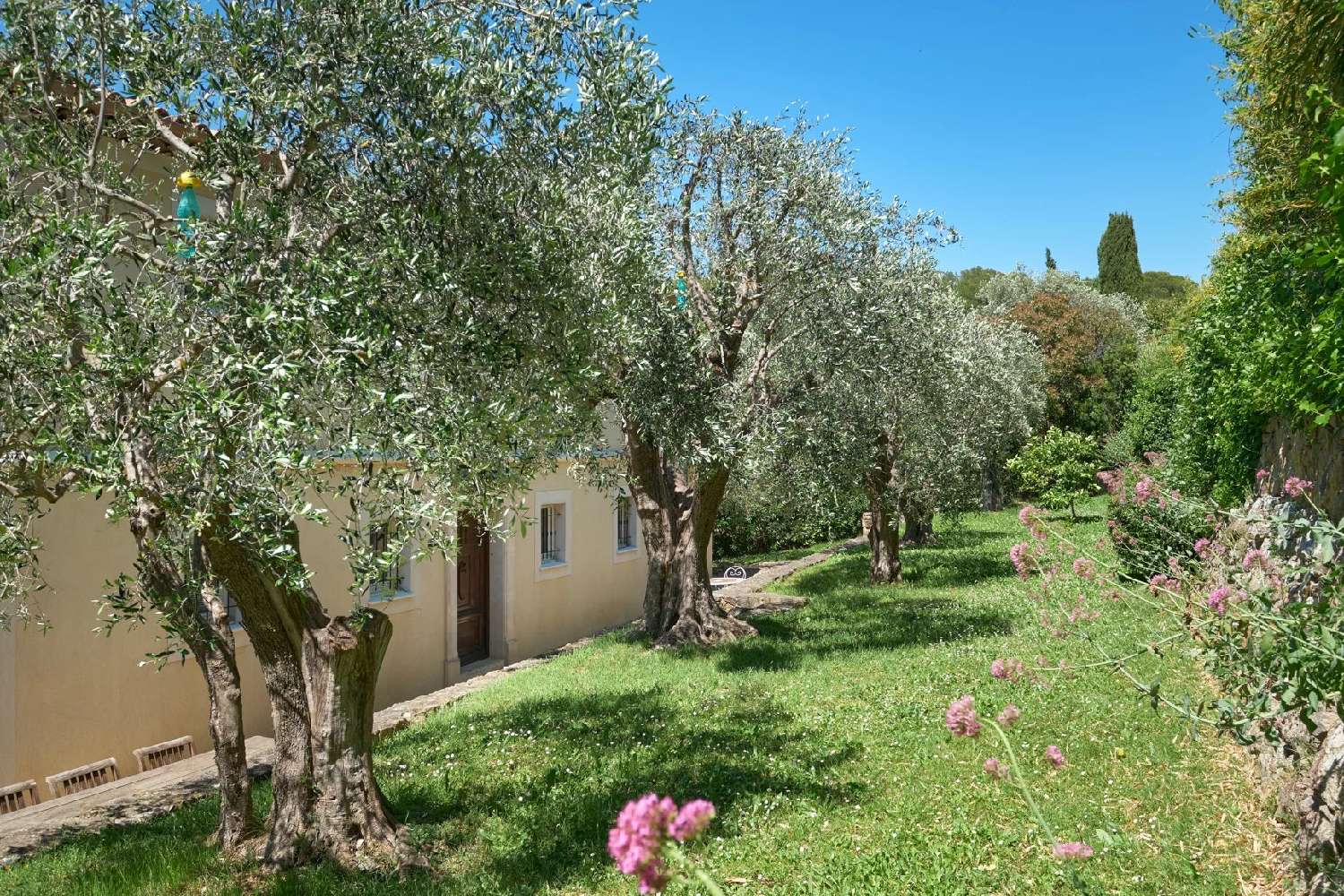  à vendre villa Mougins Alpes-Maritimes 3