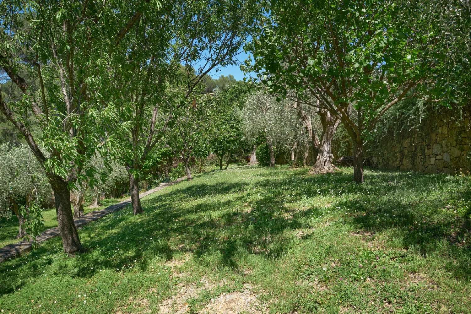  à vendre villa Mougins Alpes-Maritimes 7