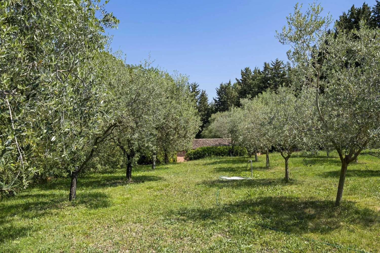 à vendre villa Mougins Alpes-Maritimes 5