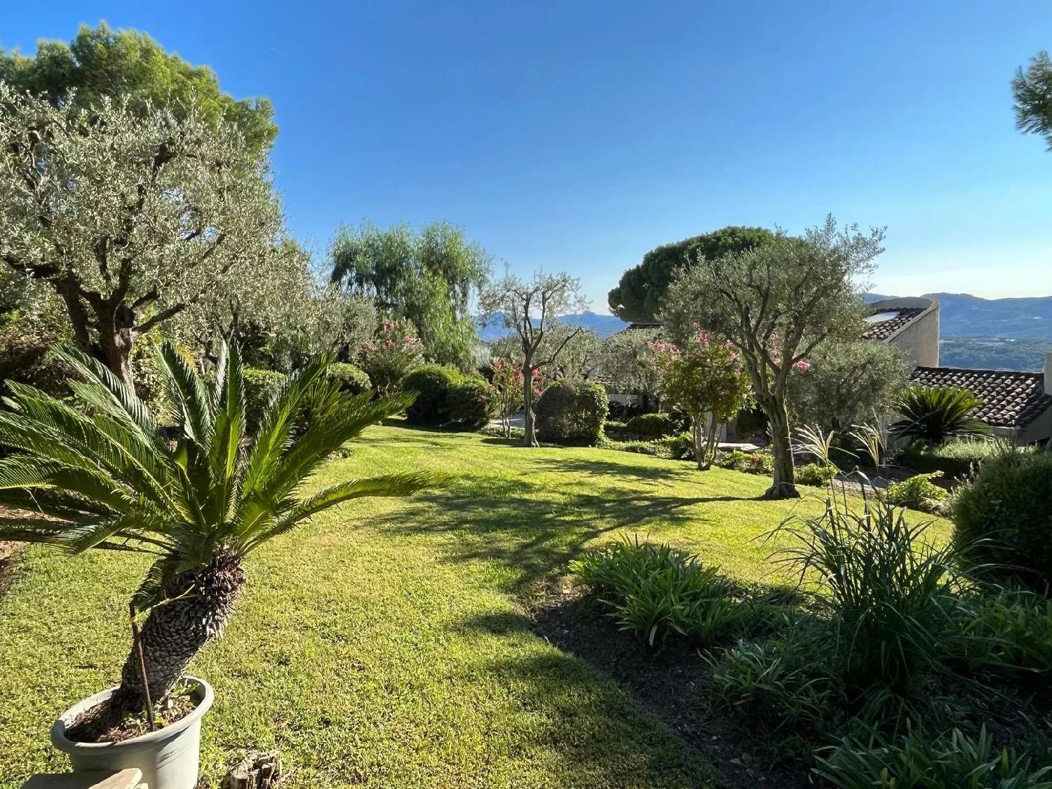  à vendre villa Mougins Alpes-Maritimes 4