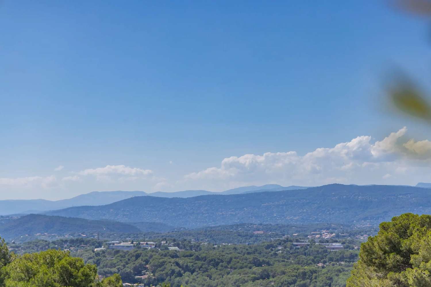  kaufen Villa Mougins Alpes-Maritimes 2