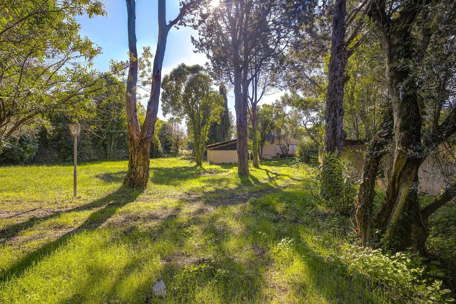 kaufen Villa Mougins Alpes-Maritimes 3