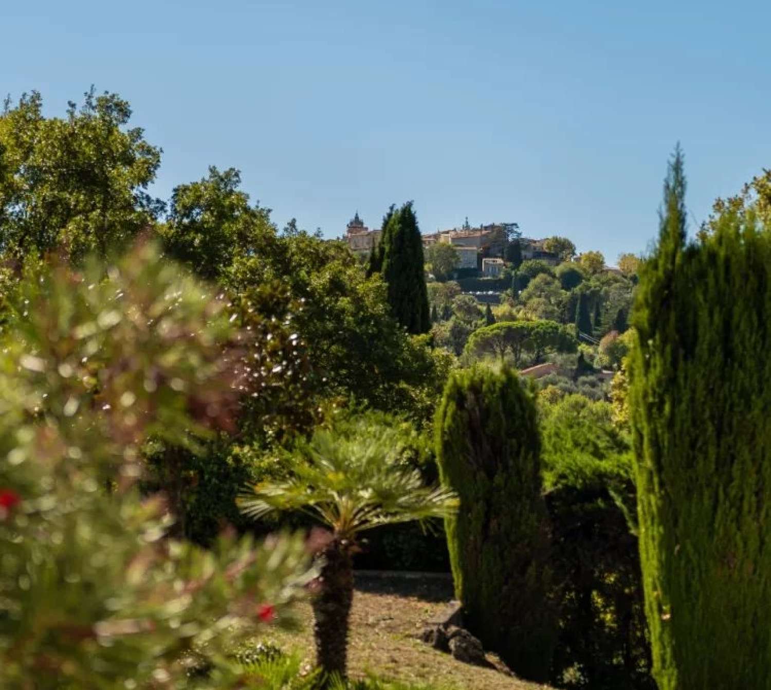  for sale villa Mougins Alpes-Maritimes 2