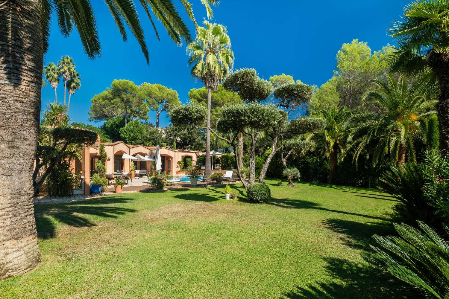 à vendre villa Mougins Alpes-Maritimes 5