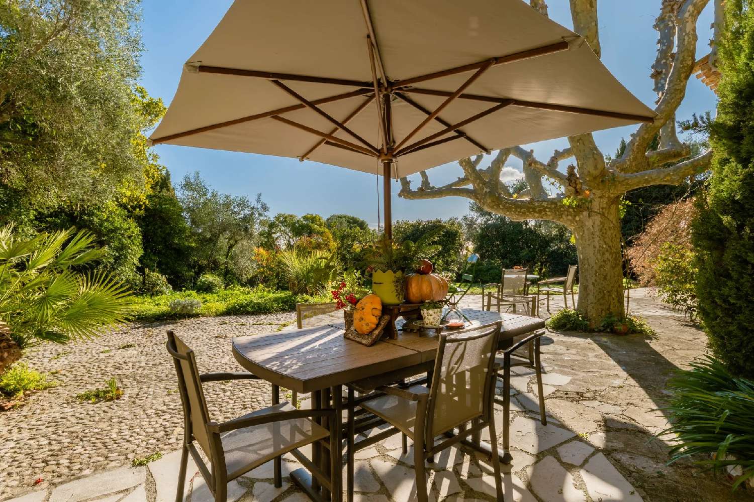  à vendre villa Mougins Alpes-Maritimes 4
