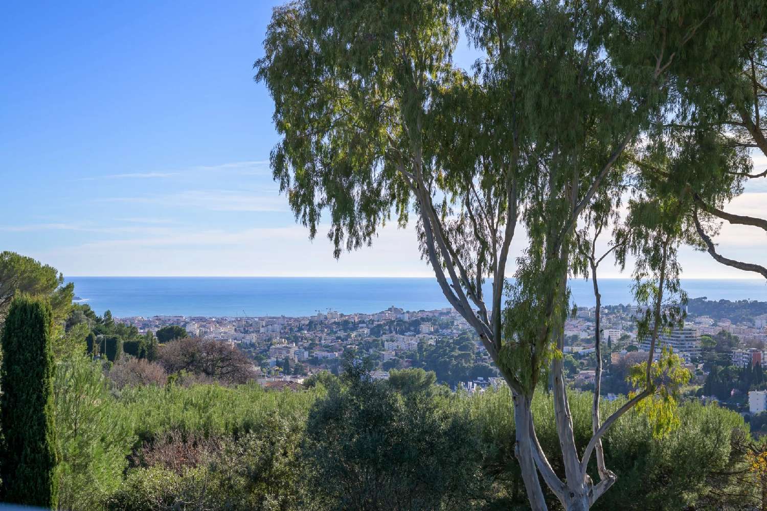  te koop villa Mougins Alpes-Maritimes 3