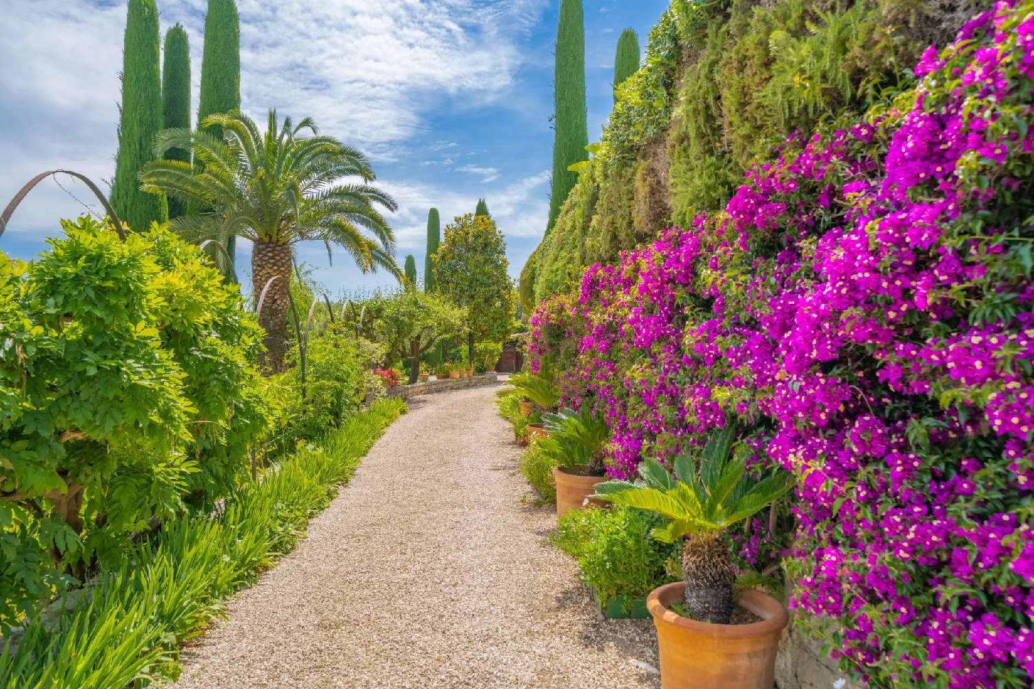  for sale villa Mougins Alpes-Maritimes 2