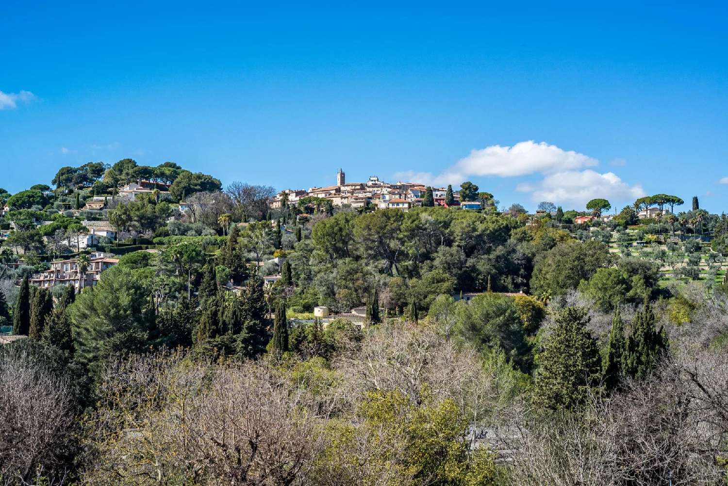  for sale villa Mougins Alpes-Maritimes 5