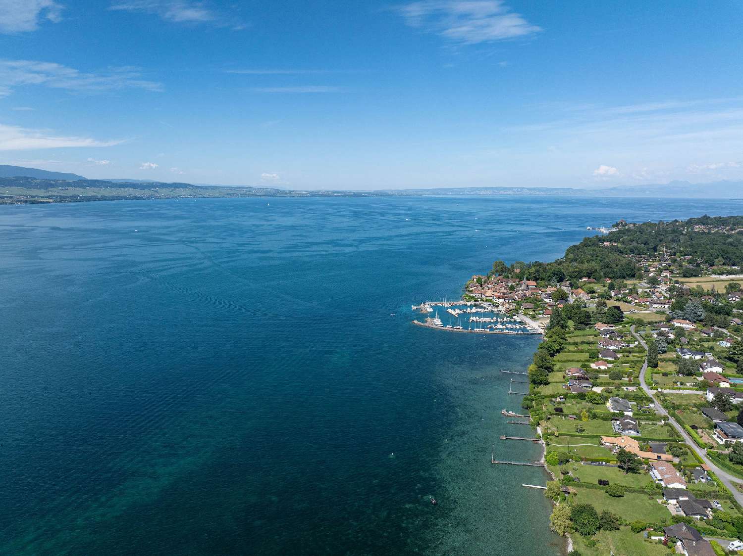  te koop villa Nernier Haute-Savoie 1