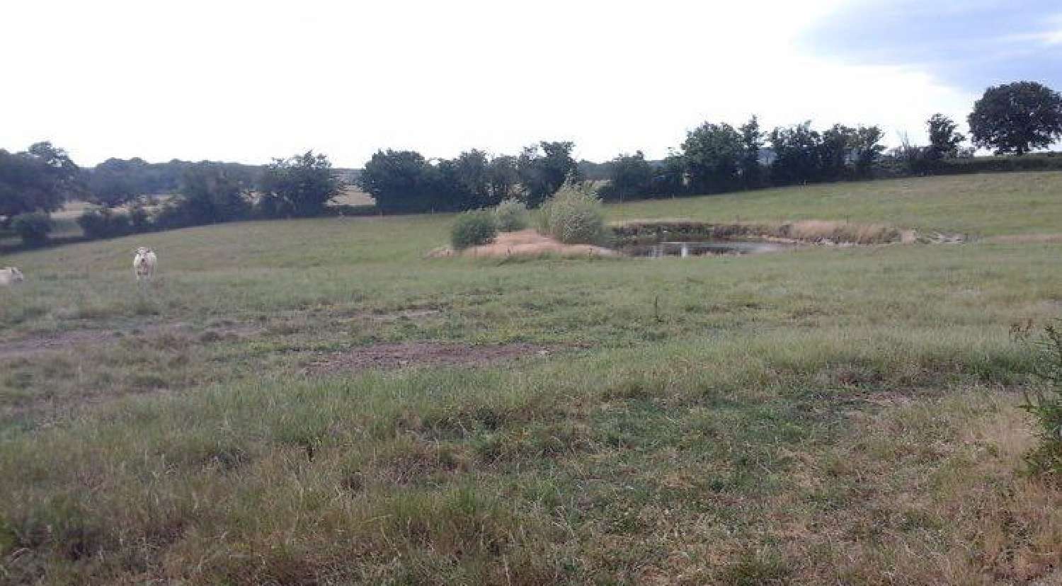  te koop villa Neuvy-Grandchamp Saône-et-Loire 6