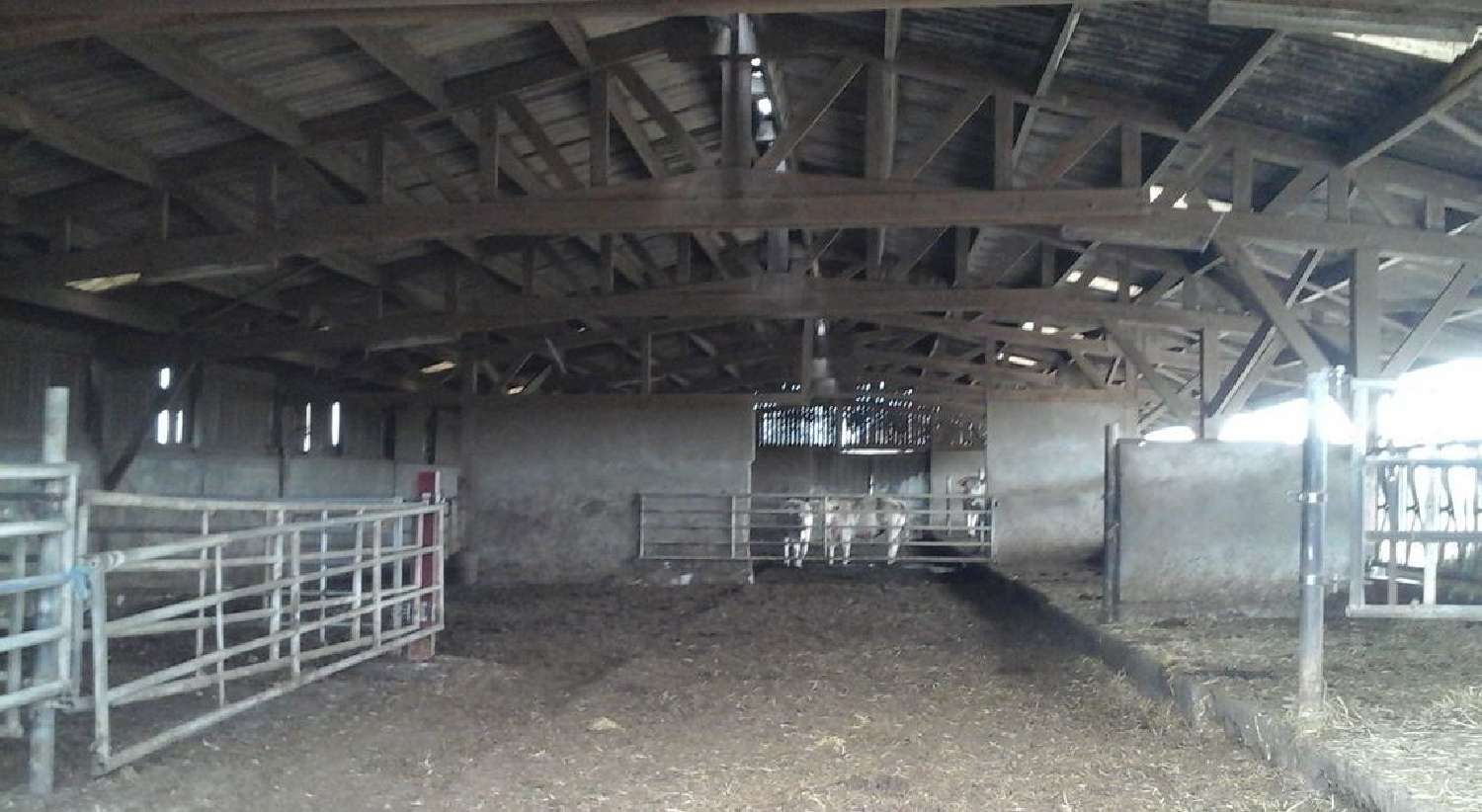  te koop villa Neuvy-Grandchamp Saône-et-Loire 7