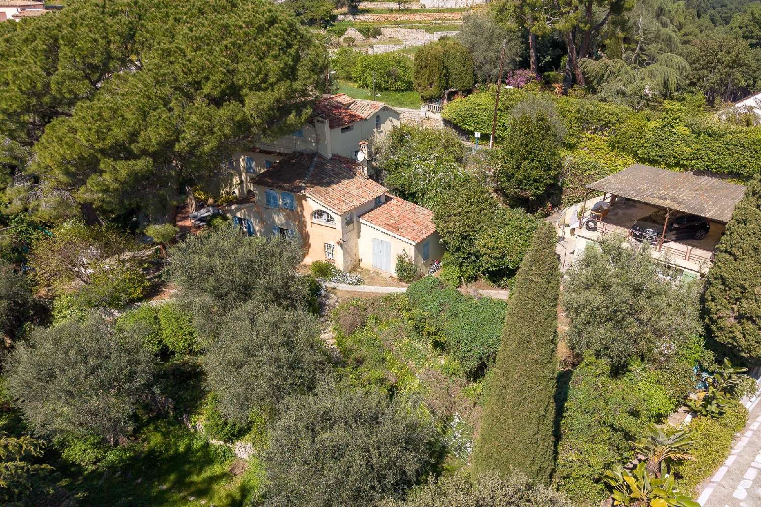  te koop villa Nice Alpes-Maritimes 5