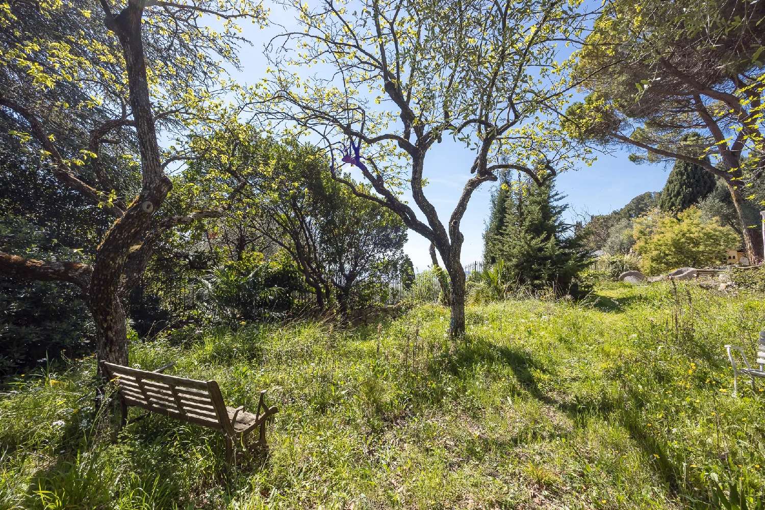  te koop villa Nice Alpes-Maritimes 7