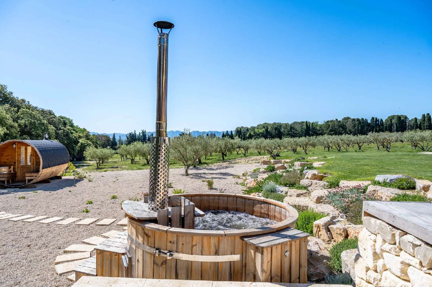  te koop villa Noves Bouches-du-Rhône 8