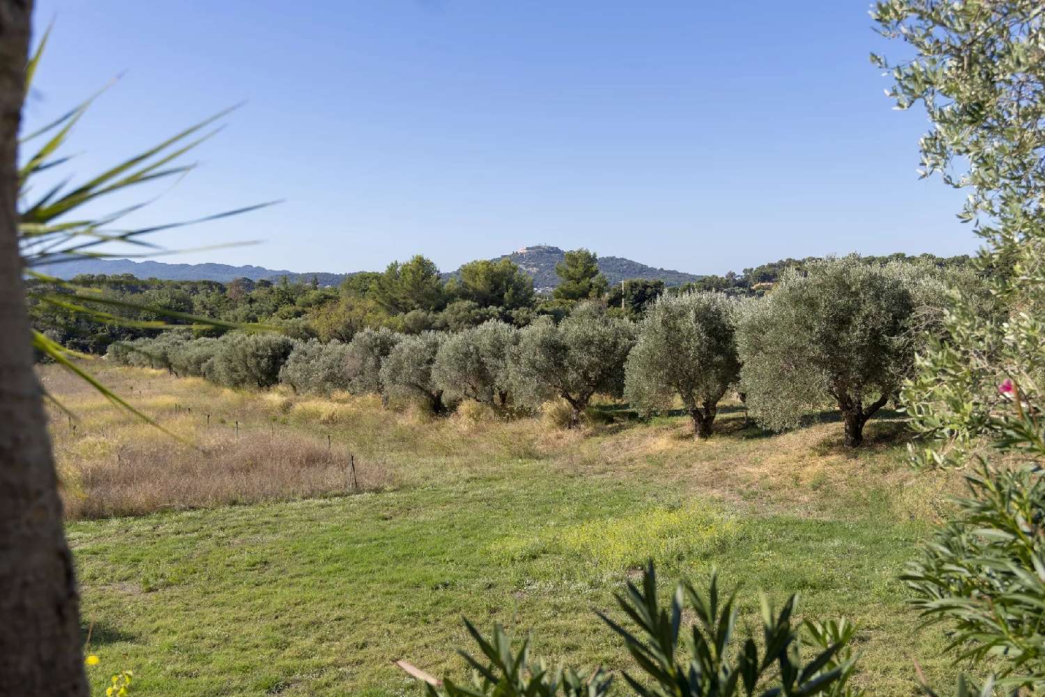  for sale villa Ollioules Var 7