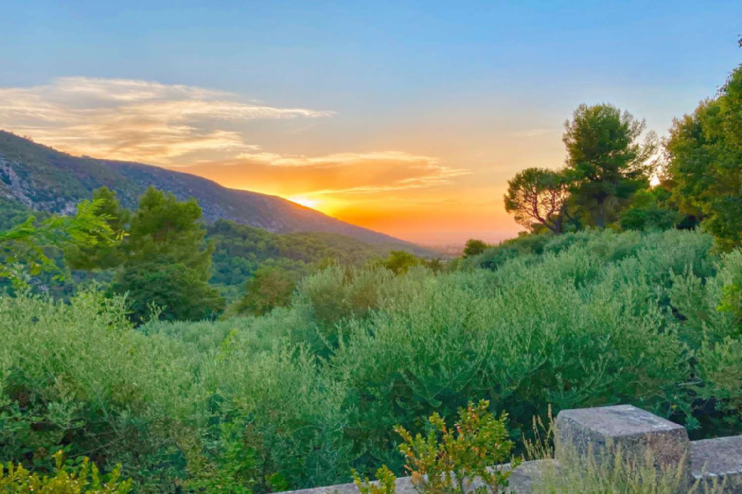  te koop villa Oppède Vaucluse 6