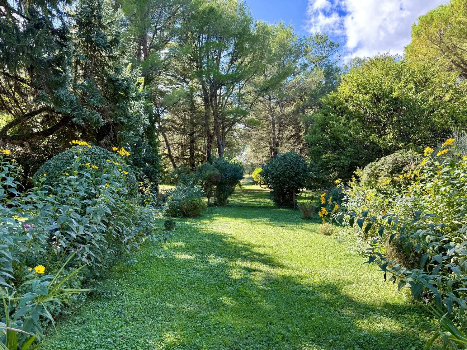 for sale villa Plan-d'Orgon Bouches-du-Rhône 3