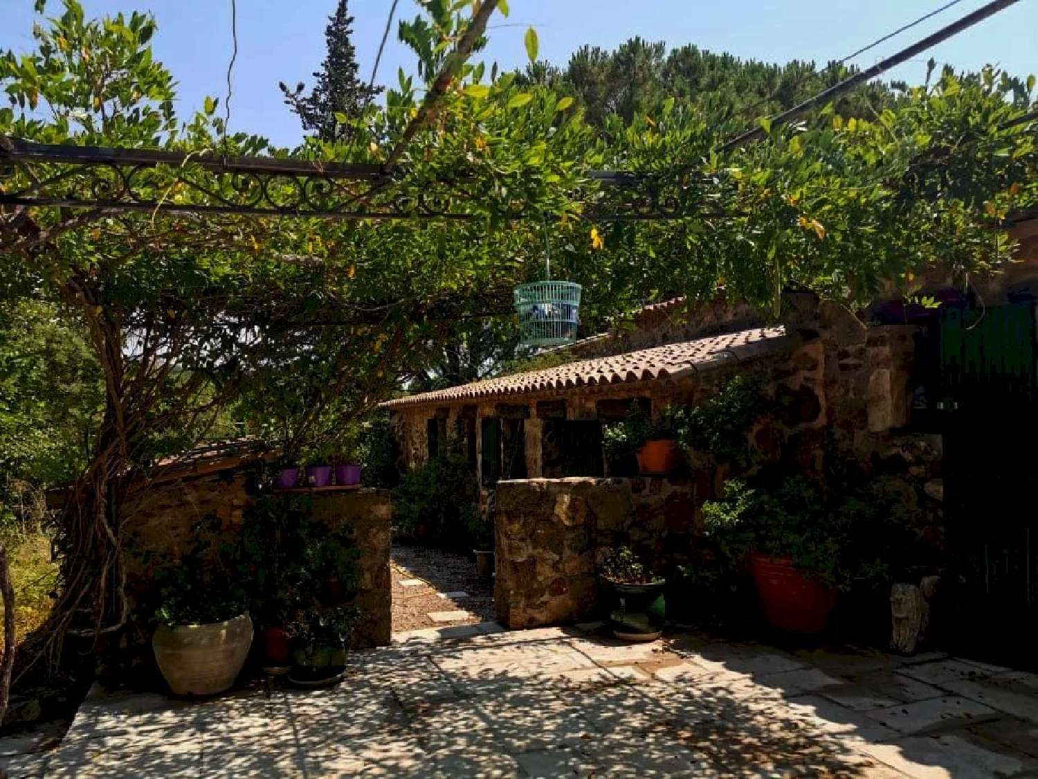  te koop villa Plan-de-la-Tour Var 8