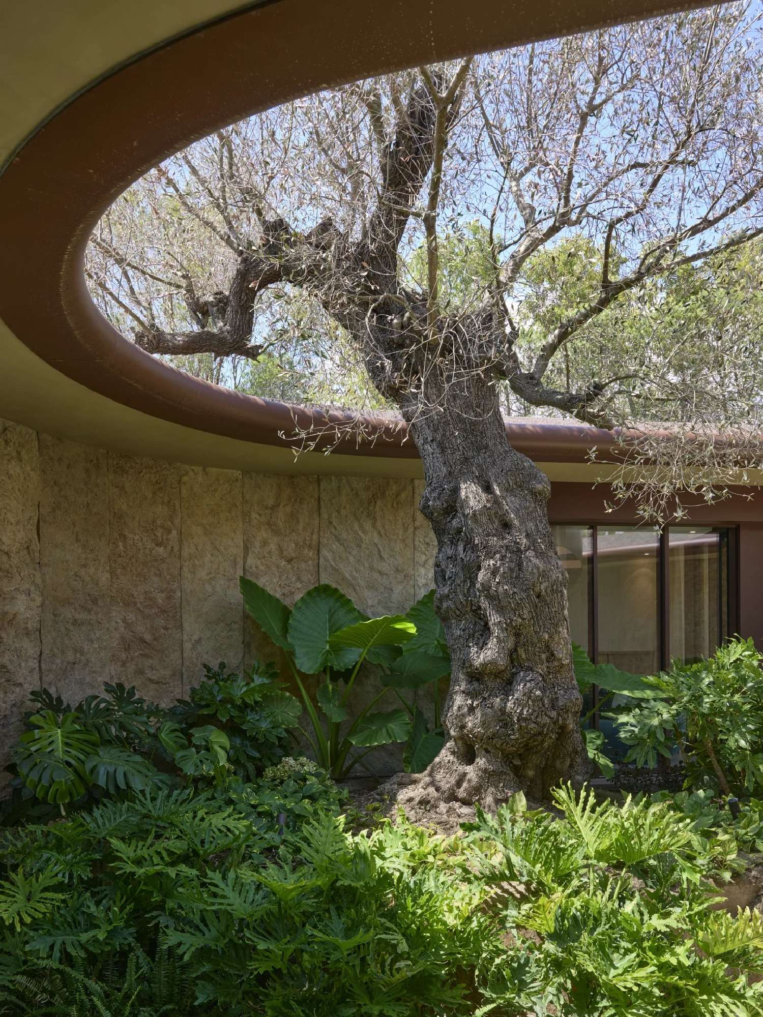 kaufen Villa Ramatuelle Var 5