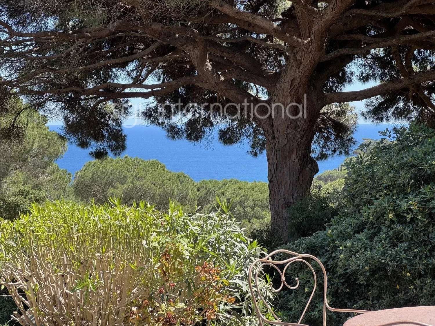  à vendre villa Ramatuelle Var 1