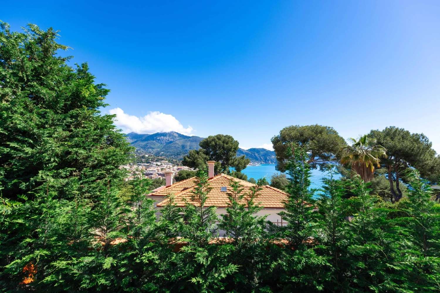  te koop villa Roquebrune-Cap-Martin Alpes-Maritimes 7