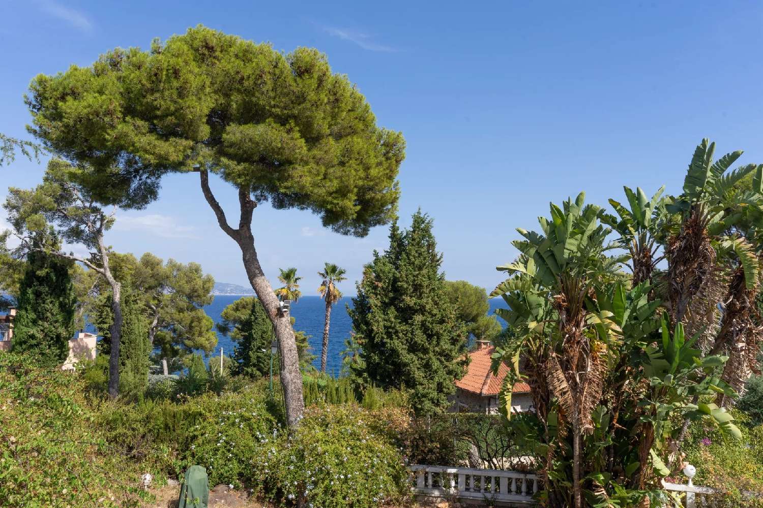 kaufen Villa Roquebrune-Cap-Martin Alpes-Maritimes 1