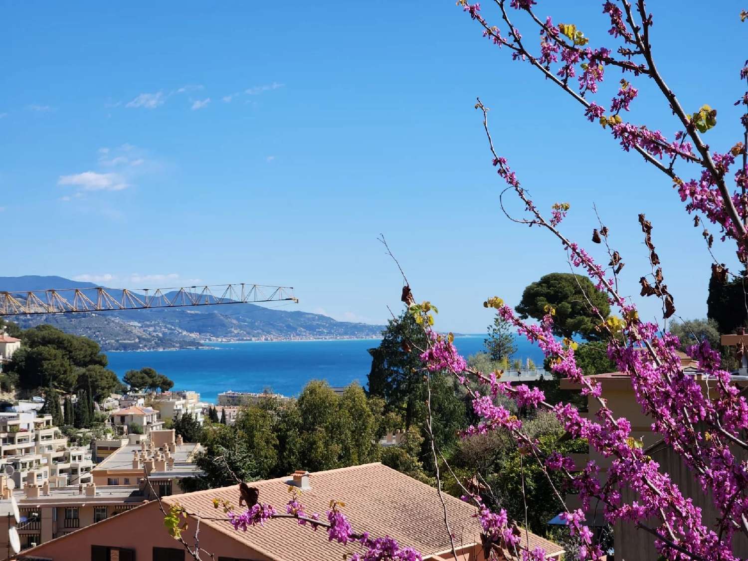  en venta villa Roquebrune-Cap-Martin Alpes-Maritimes 1