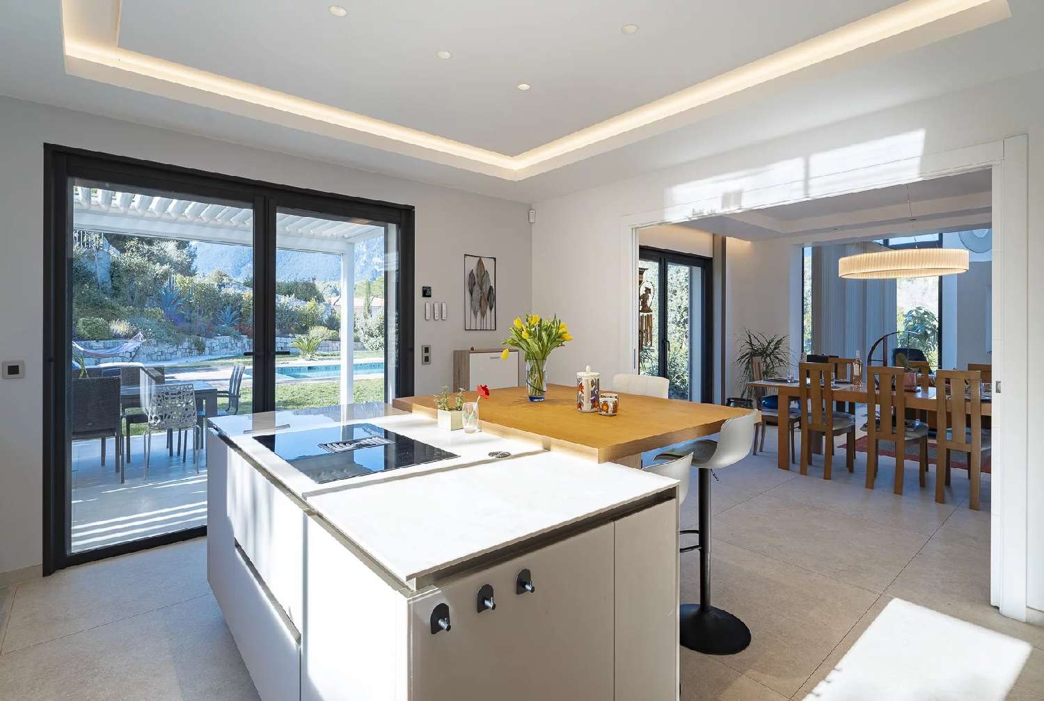  à vendre villa Roquefort-les-pins Alpes-Maritimes 6