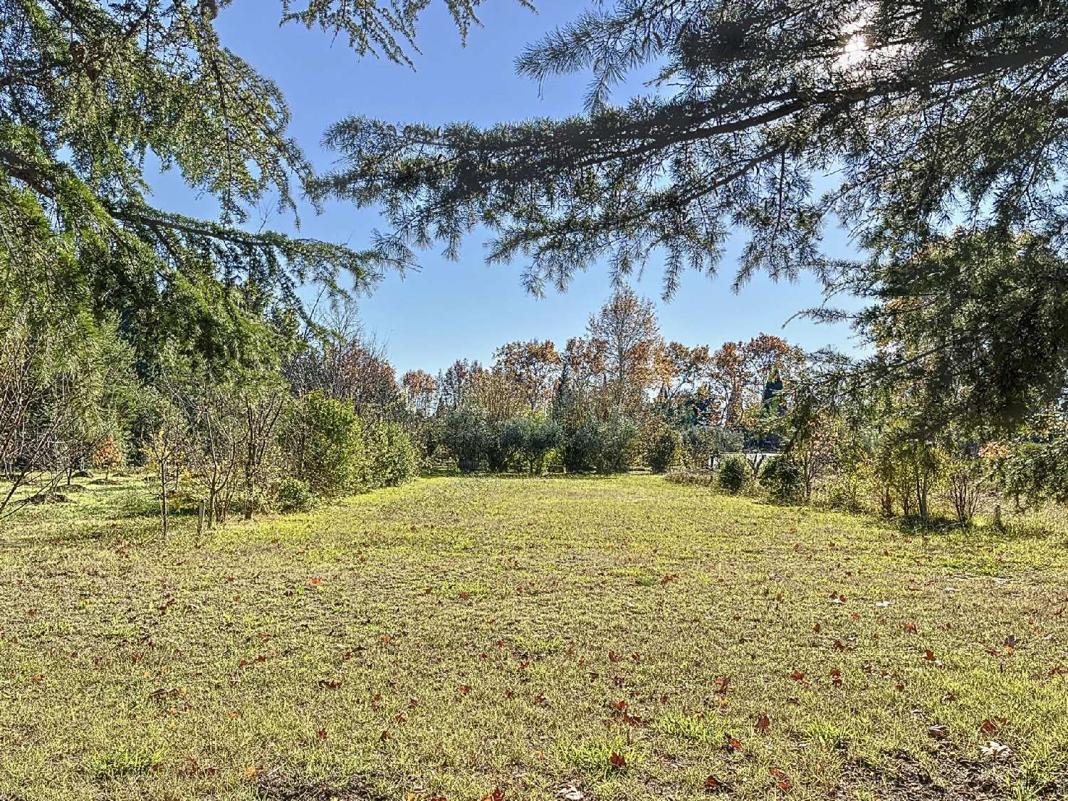  te koop villa Saint-Rémy-de-Provence Bouches-du-Rhône 7