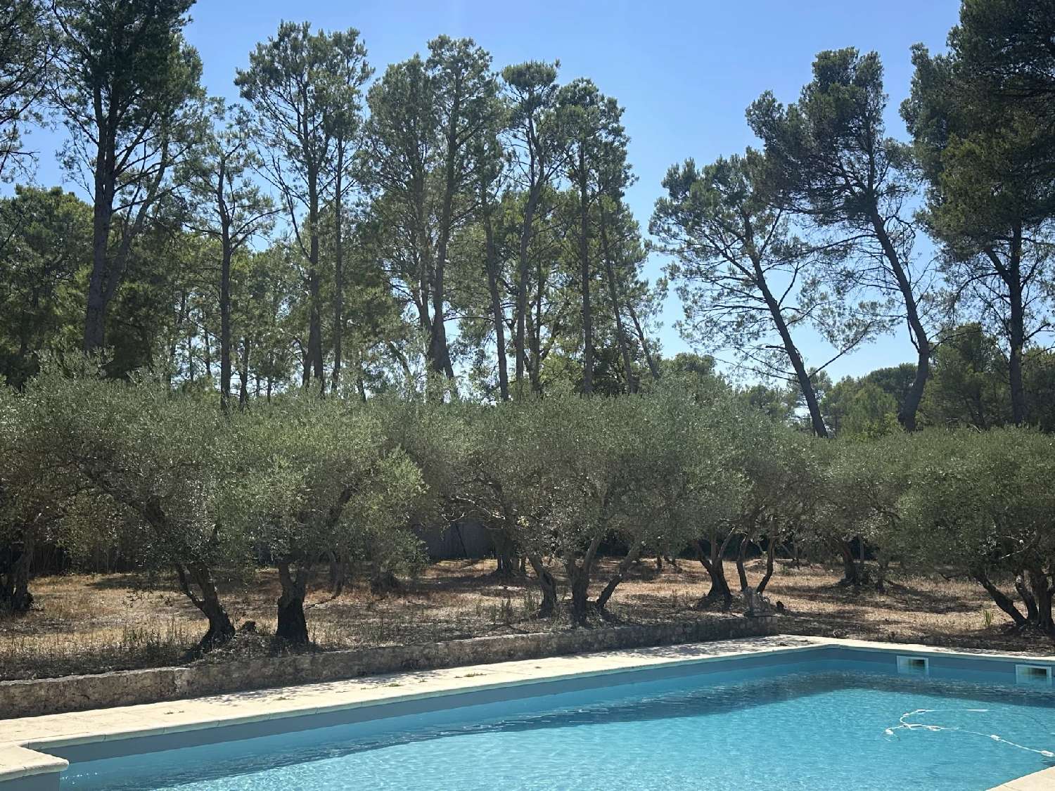 à vendre villa Saint-Rémy-de-Provence Bouches-du-Rhône 4