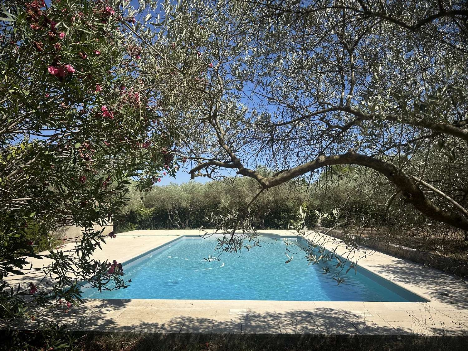 à vendre villa Saint-Rémy-de-Provence Bouches-du-Rhône 5