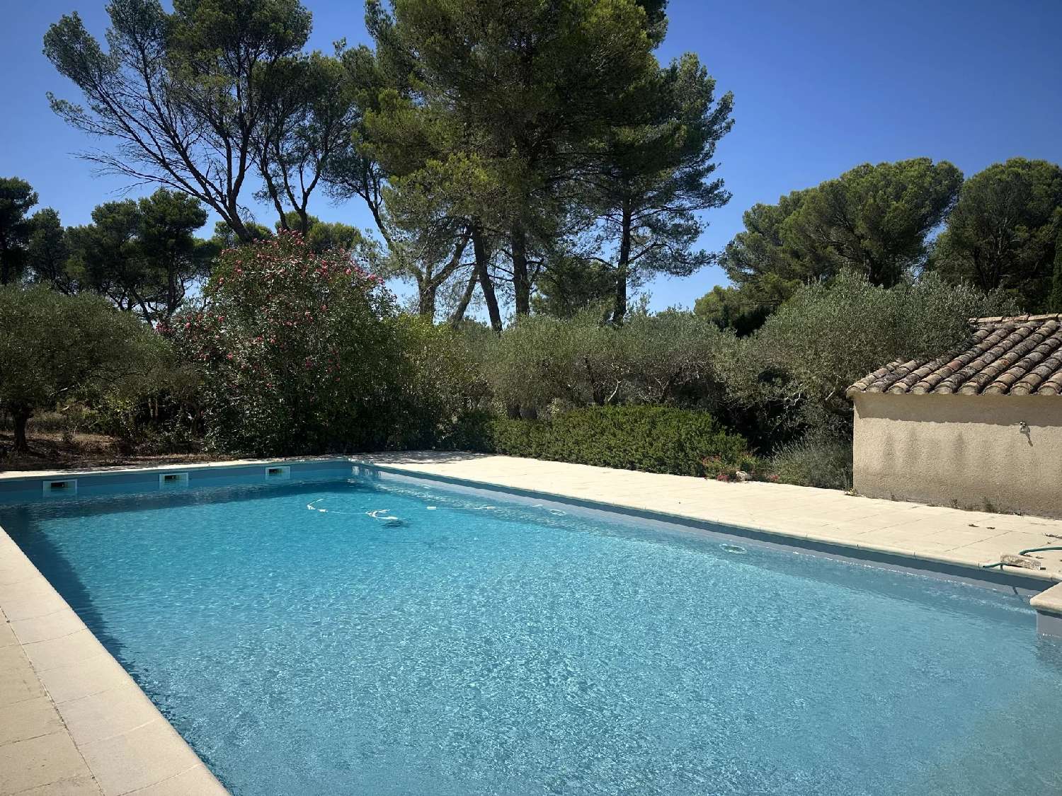 à vendre villa Saint-Rémy-de-Provence Bouches-du-Rhône 6