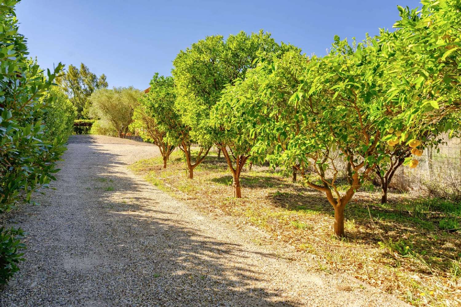  for sale villa Saint-Tropez Var 4