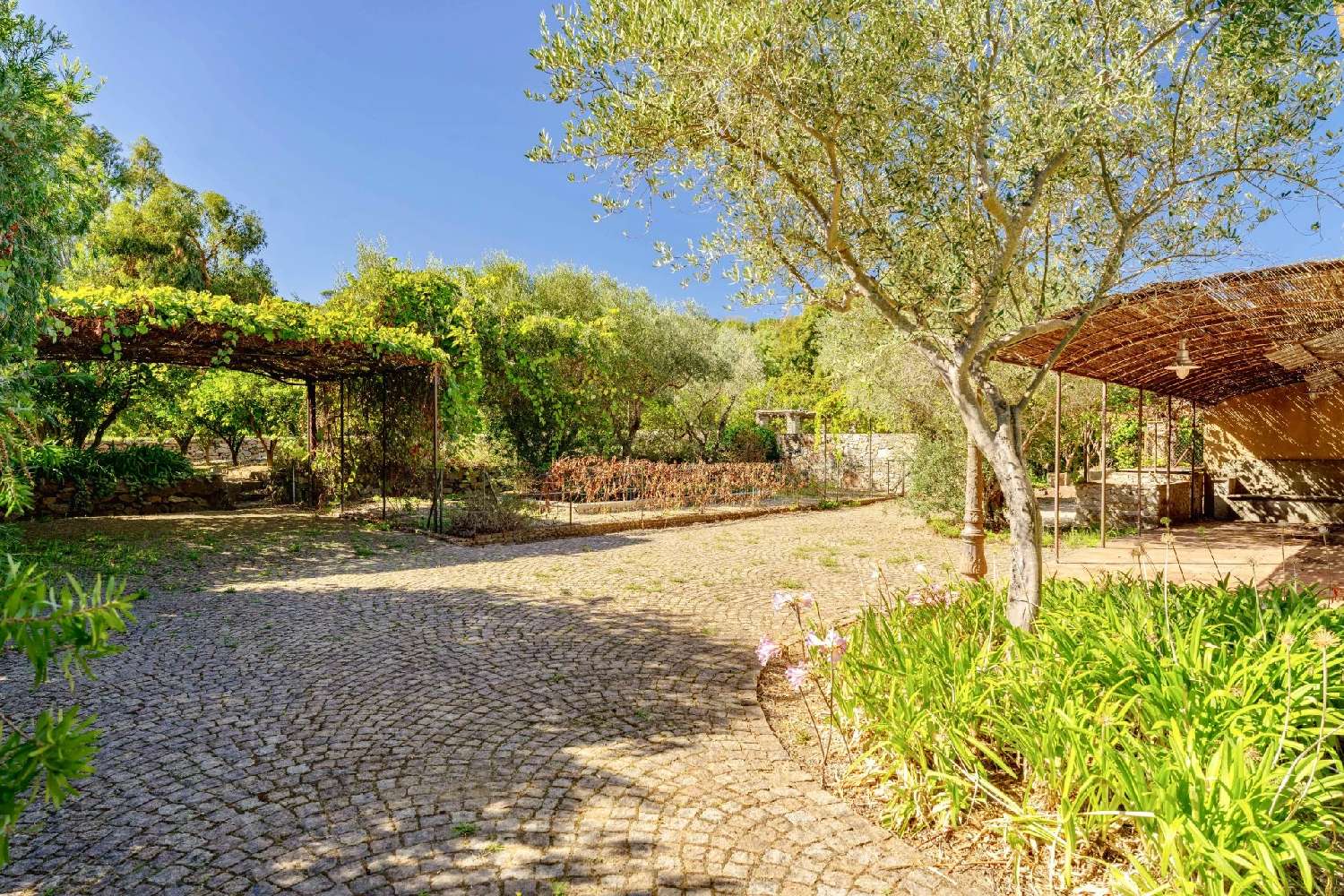  for sale villa Saint-Tropez Var 6